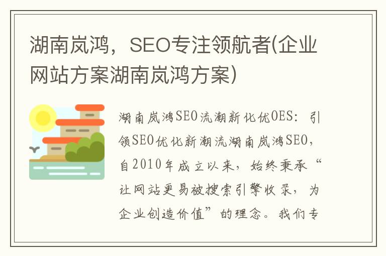 湖南岚鸿，SEO专注领航者(企业网站方案湖南岚鸿方案)